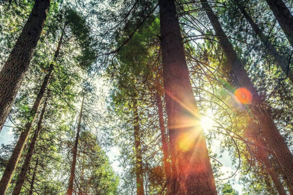 Miljøfokus i Skullerud Park