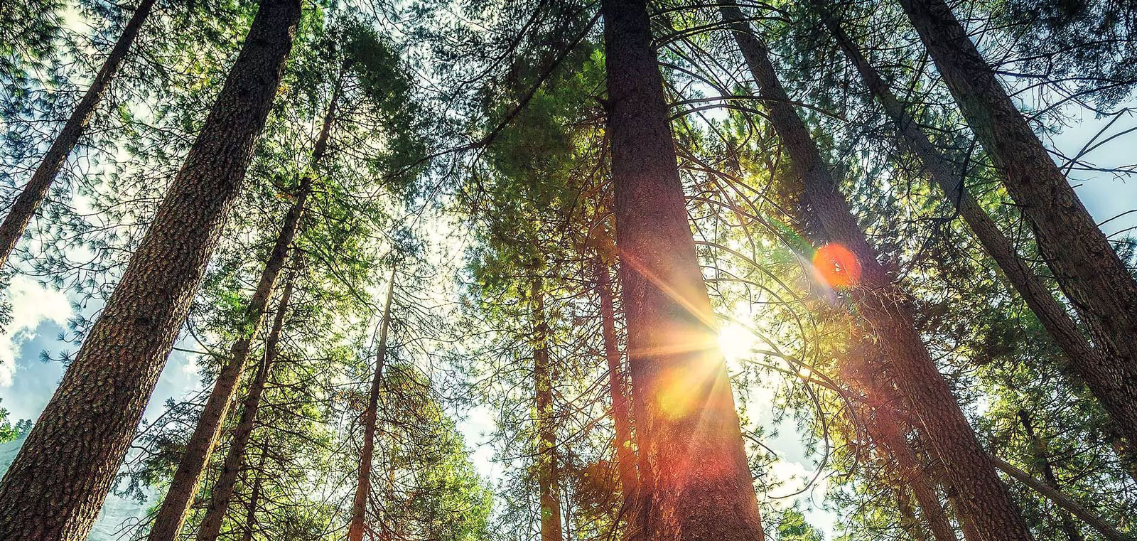 Miljøfokus i Skullerud Park