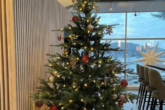 Juletrærne våre ønsker seg gaver