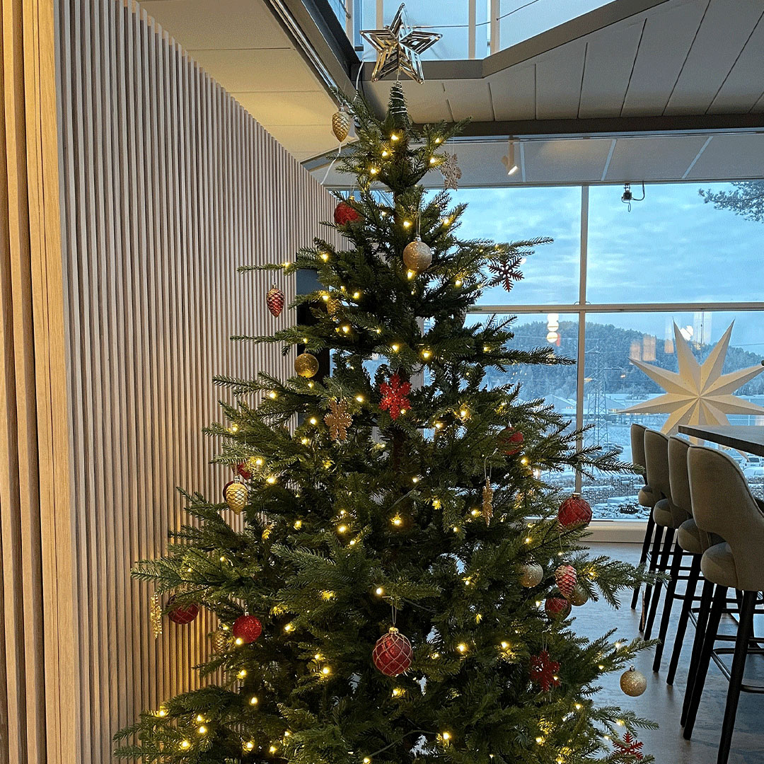 Juletrærne våre ønsker seg gaver