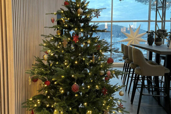 Juletrærne i Skullerud Park ønsker seg julegaver