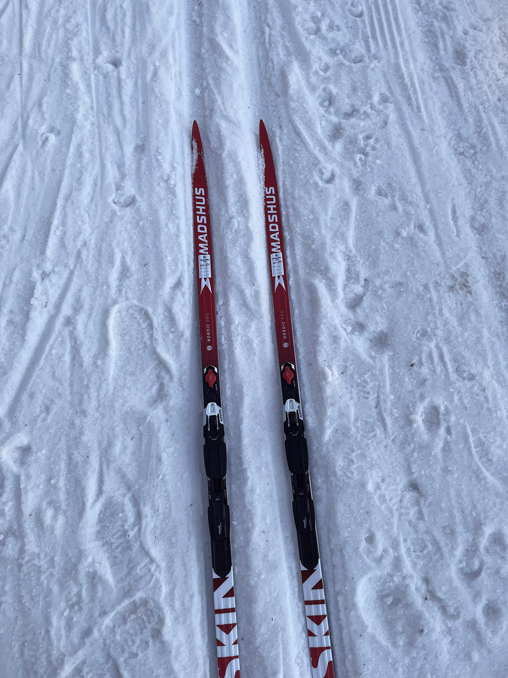 Langrennski i skispor