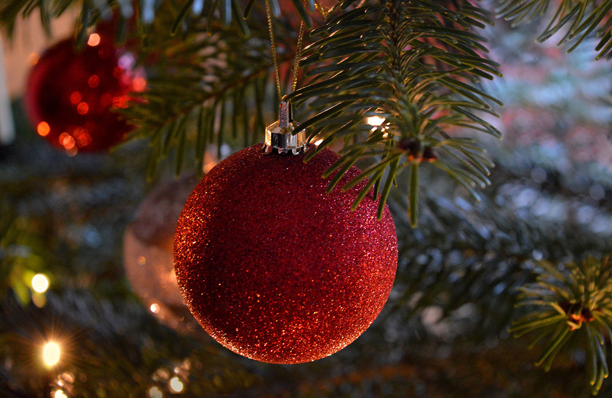 Juletre julegaveinnsamling Skullerud Park