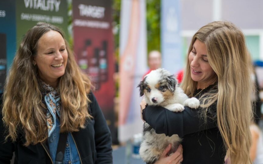God stemning i standområdet