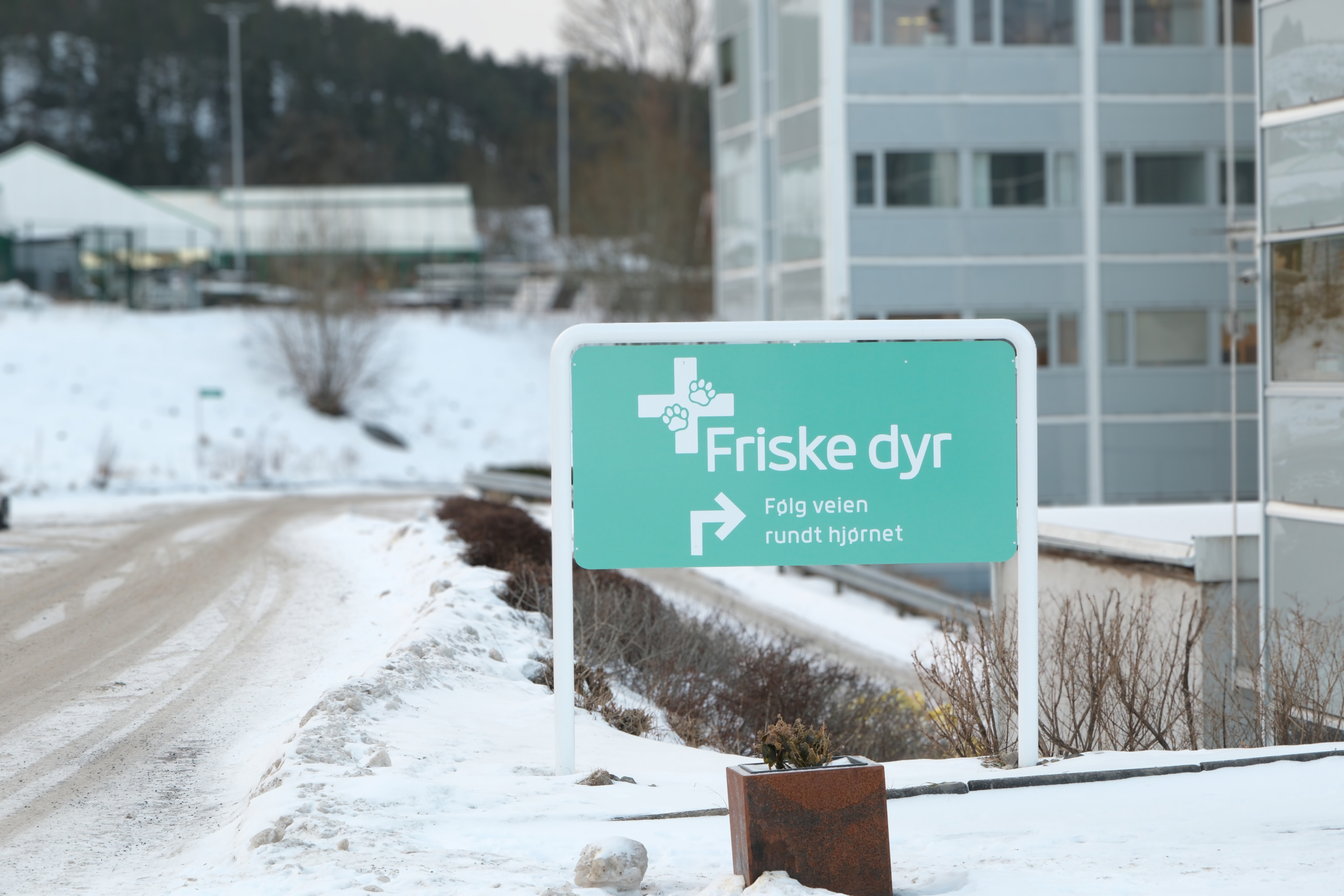 Friske dyr AS har flyttet inn i Skullerud Park 🐾